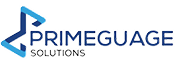 PrimeGuage Systems